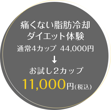 痛くない脂肪冷却 ダイエット体験