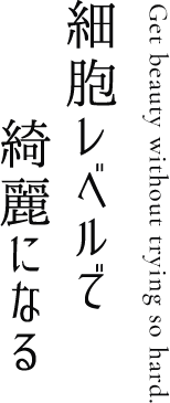 頑張らないで　綺麗になる